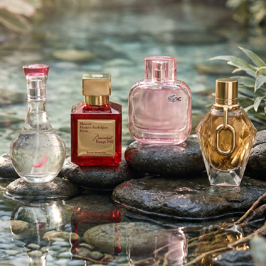 CanCan, Baccarat Rouge, Lacoste, Million Gold TTK